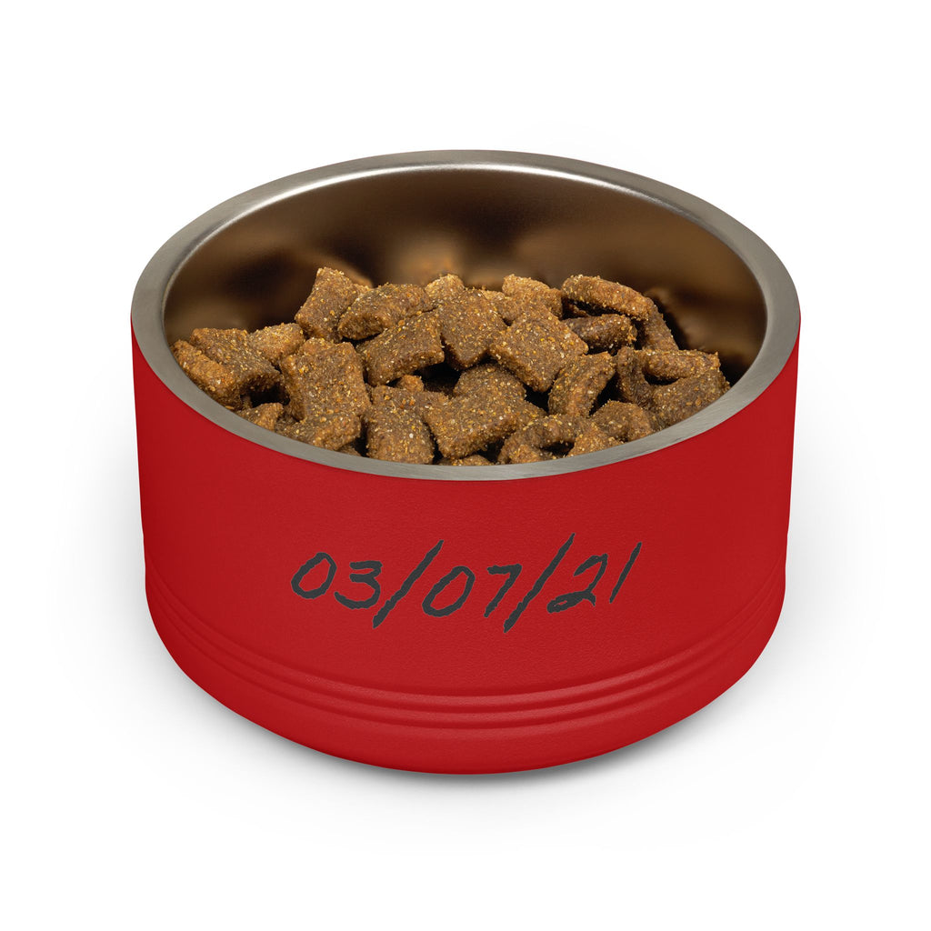 Personalized Pet Bowl - Custom Name & Date Stainless Steel 18oz